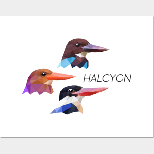 Halcyon (double-sided version) Posters and Art